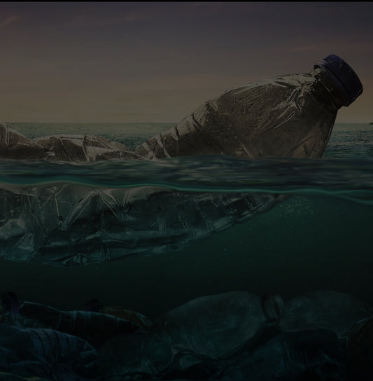 7 Things You Can Do To Reduce Ocean Plastic Pollution
